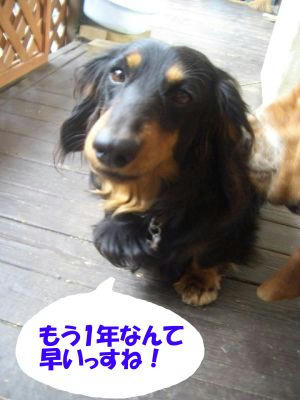 1be65444.JPG