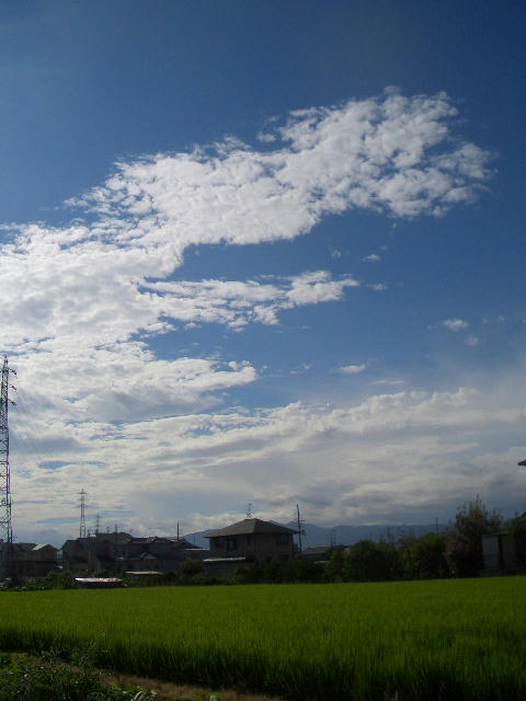 fe36a345.JPG