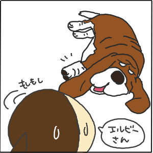 62-5.GIF