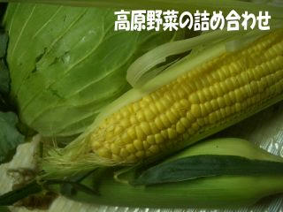 fdd2d467.JPG