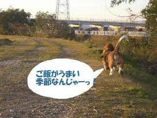 ef0d7959.JPG