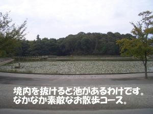 ad638f49.JPG