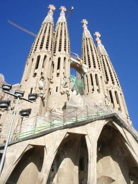 IMGP3373.jpg