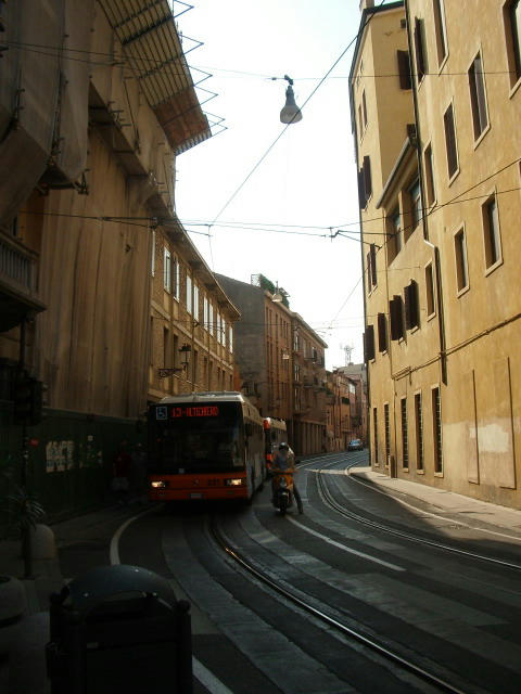 IMGP3589.jpg