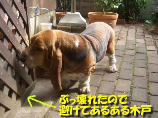 d5ba8f45.JPG