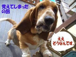 dd18a67f.JPG