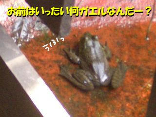 aafef8cd.JPG