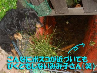 a6dd1353.JPG