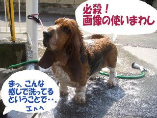eb3c27a1.JPG