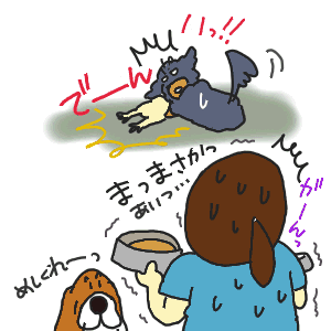 33-2.gif