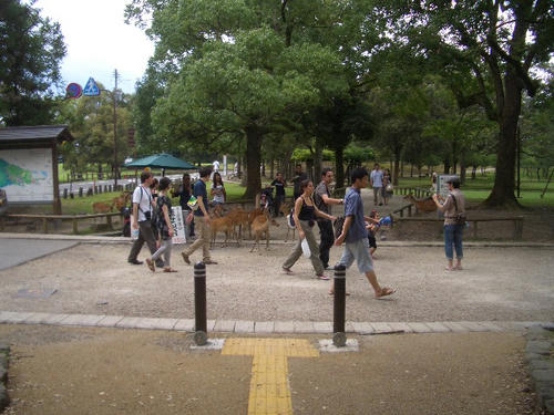 87a23c38.JPG