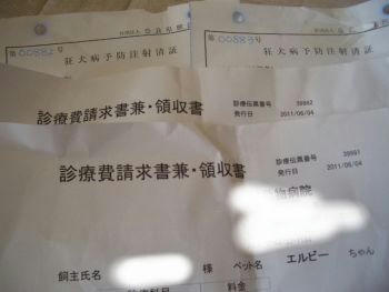 29b27b07.JPG