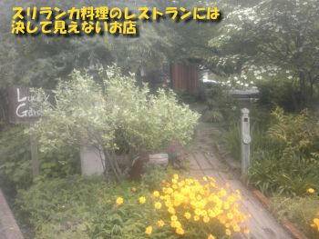 7e704186.JPG