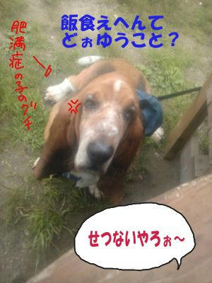 3726f01d.JPG