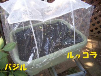 5c62b1f6.JPG