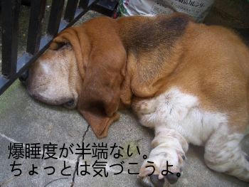 0dda89e7.JPG