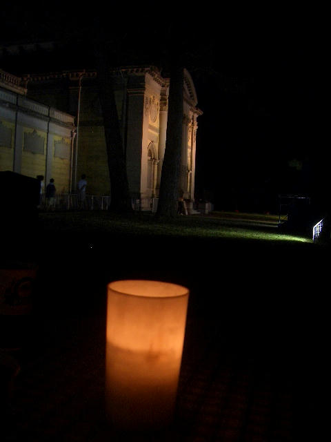 9603d381.JPG