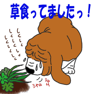 97afdf22.gif
