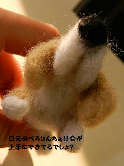 DSCN1052.jpg