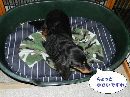 DSCN1077.jpg