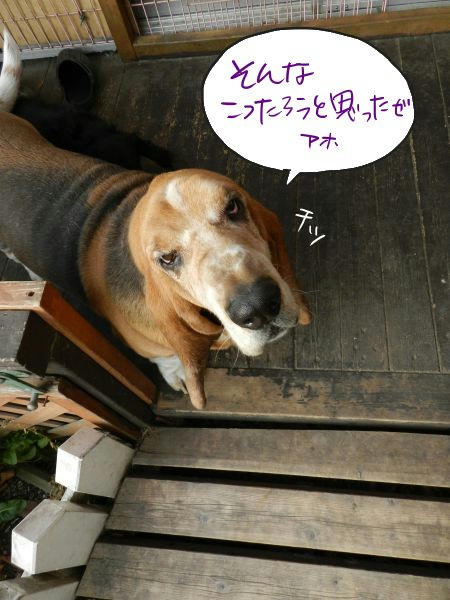 DSCN1671.JPG