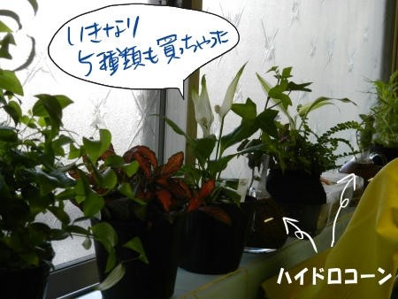DSCN2200.JPG