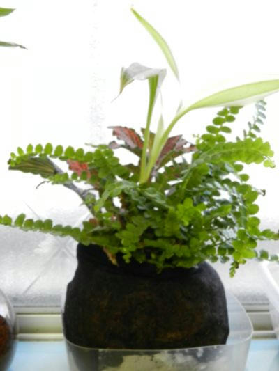 DSCN2201.JPG
