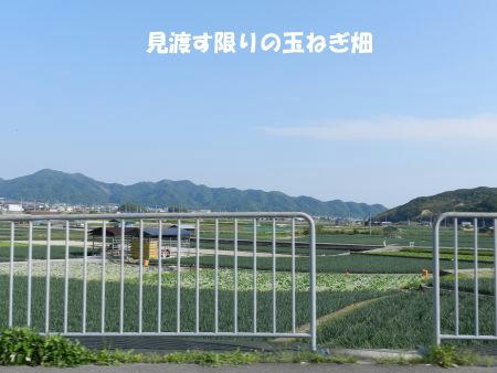 DSCN2120.JPG