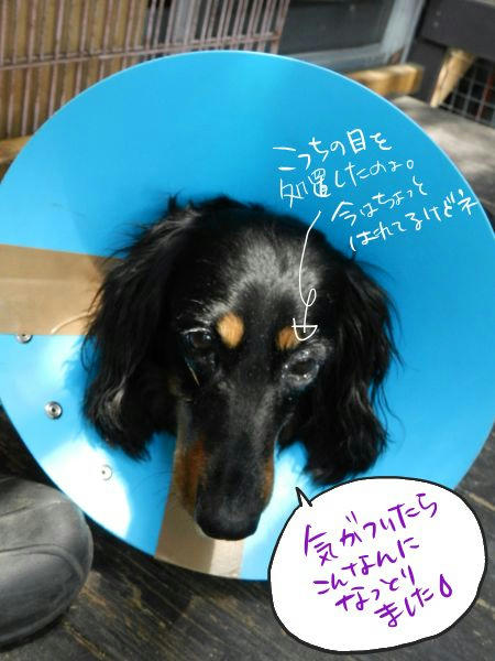 DSCN2206.JPG