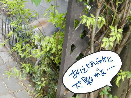DSCN2224.JPG