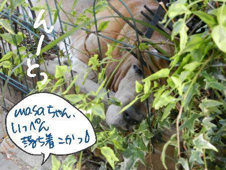 DSCN2225.JPG