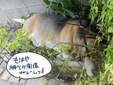 DSCN2226.JPG