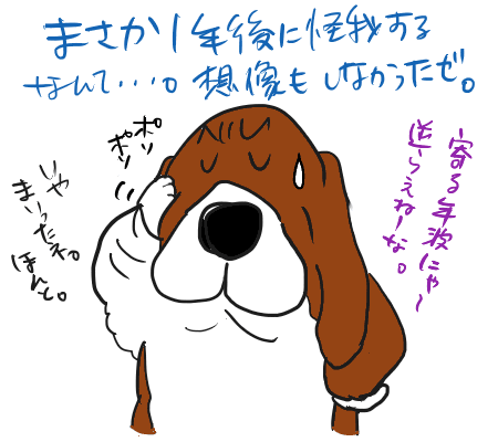 88cf85e1.gif