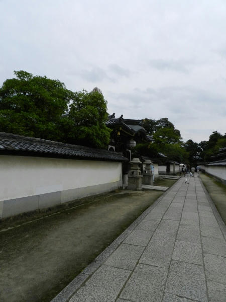 DSCN2327.JPG