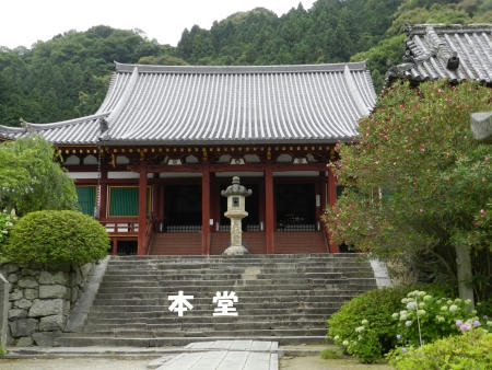 DSCN2344.JPG