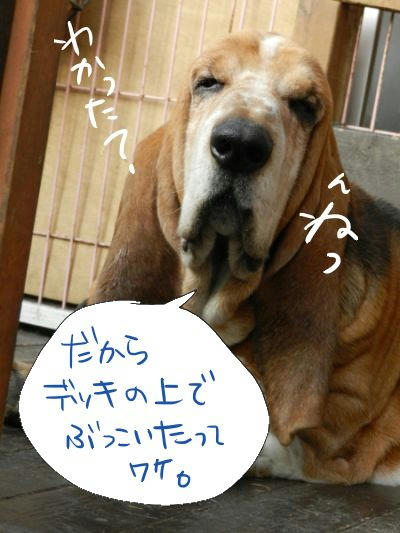 DSCN1690.JPG