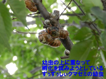 d27435d0.JPG