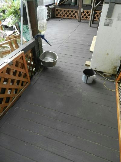 DSCN2600.JPG