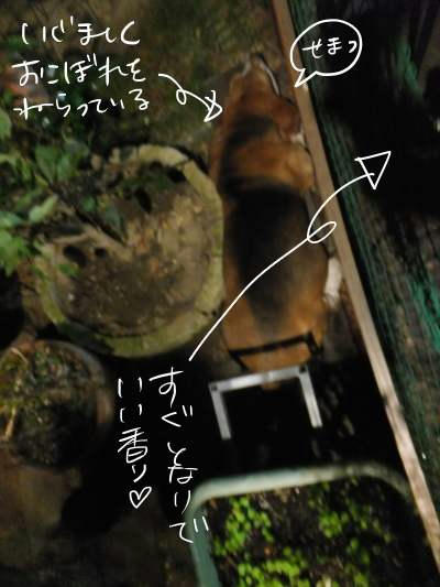 DSCF0781.JPG