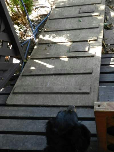 DSCN2782.JPG