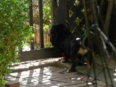 DSCN2758.JPG