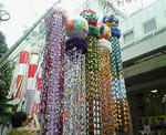 NEC_0280.jpg