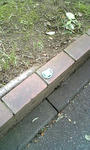DVC00059.jpg