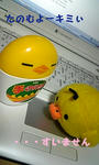 20081104c1.jpg