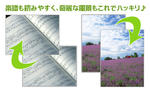 header03.jpg