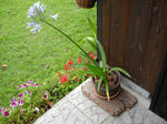 DSCN1671c.jpg