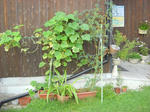 DSCN2314.JPG