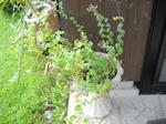 DSCN2318.JPG
