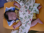 DSCN7374.JPG
