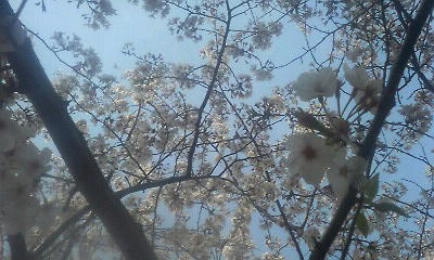 P1000164.jpg